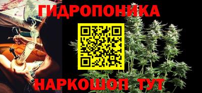 Альфа ПВП Краснознаменск