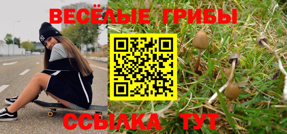 Галлюциногенные грибы мухоморы Жигулёвск