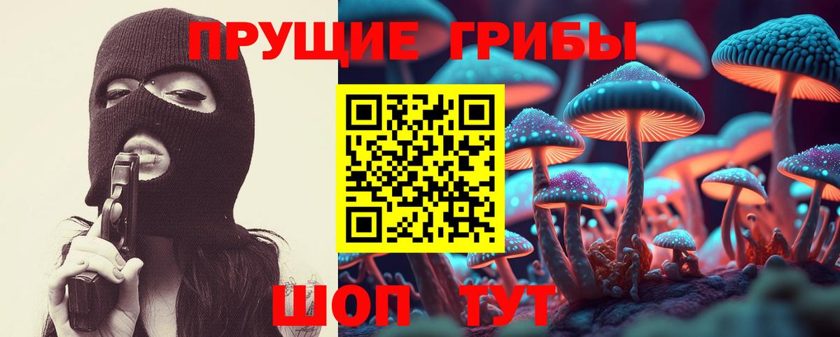 даркнет сайт  Псилоцибиновые грибы мухоморы  Жигулёвск  Вход с VPN  Галлюциногенные грибы Psilocybe 